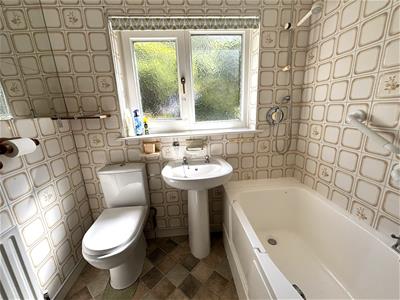 Picture 20